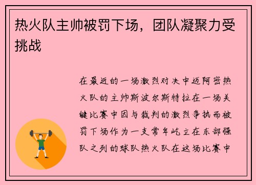热火队主帅被罚下场，团队凝聚力受挑战